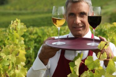 El Arte del Vino Español: Tradición y Vanguardia en Cada Copa